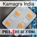 Kamagra India 24